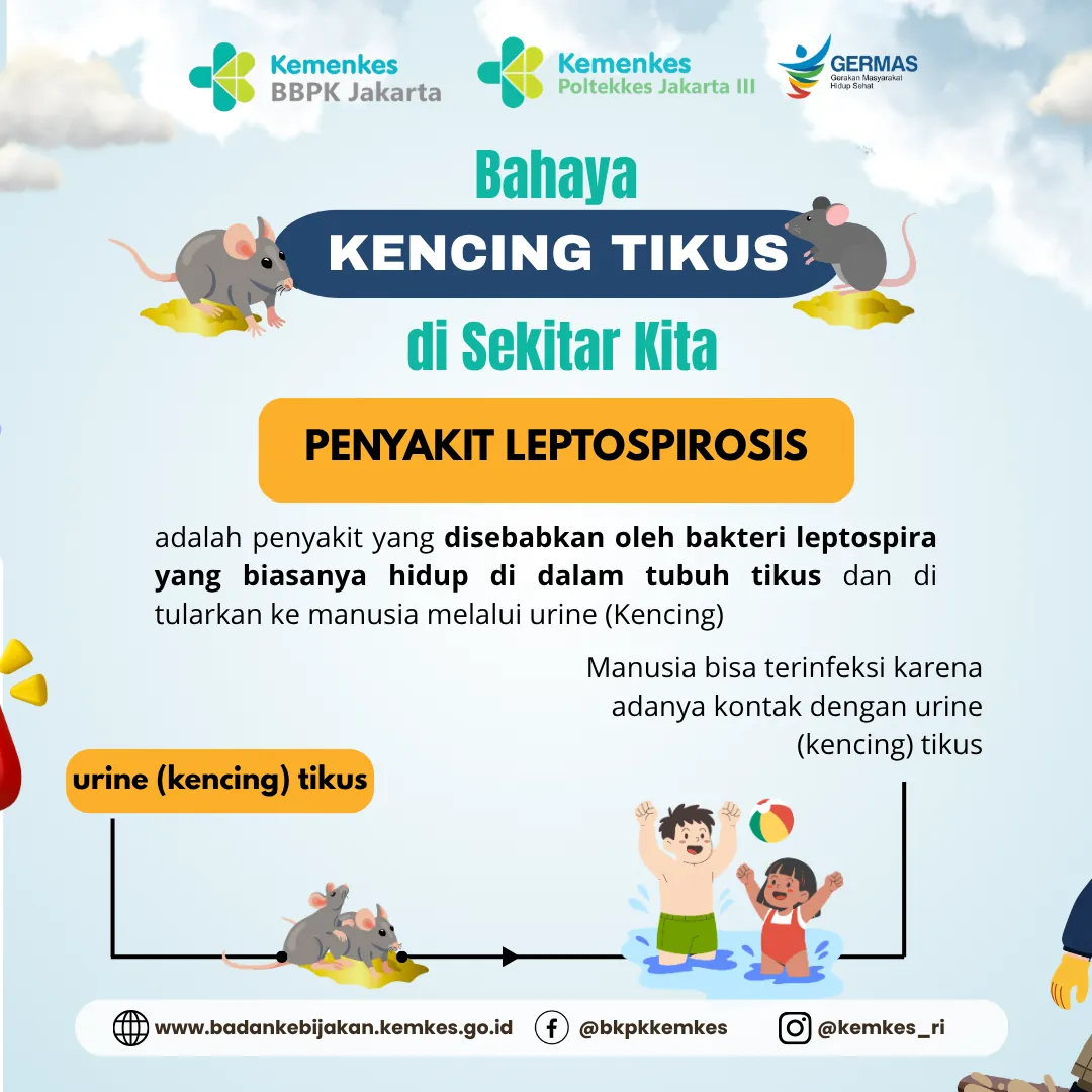 Panel berisi diagram tikus, genangan air, dan anak bermain, menjelaskan penularan leptospirosis lewat urine tikus.